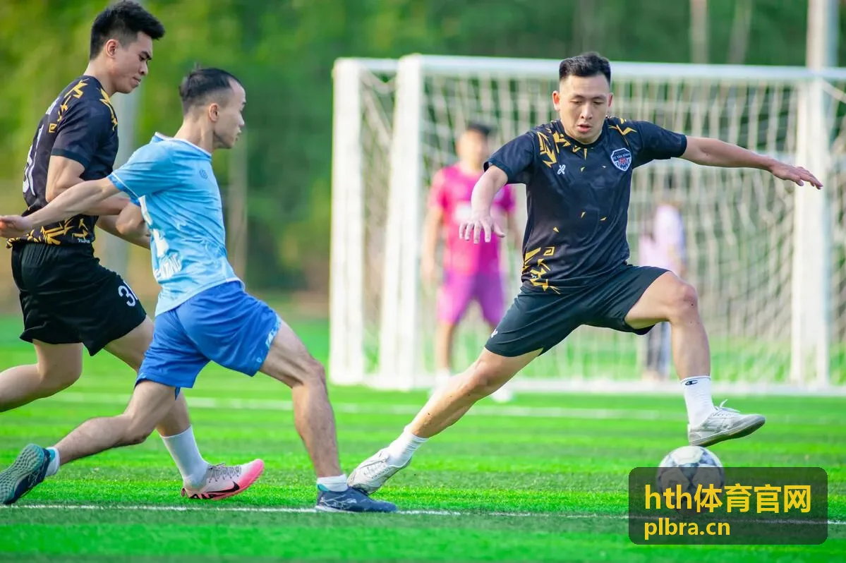 hth体育官网 - 泛目录策略解析：如何利用泛目录提升站点收录效率